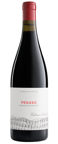VINO TELMO RODRIGUEZ PEGASO PIZARRA 2020 750 ML